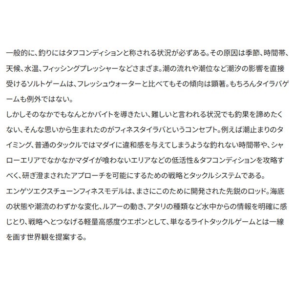 25 エンゲツ エクスチューン フィネスモデル